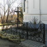 Image_0223