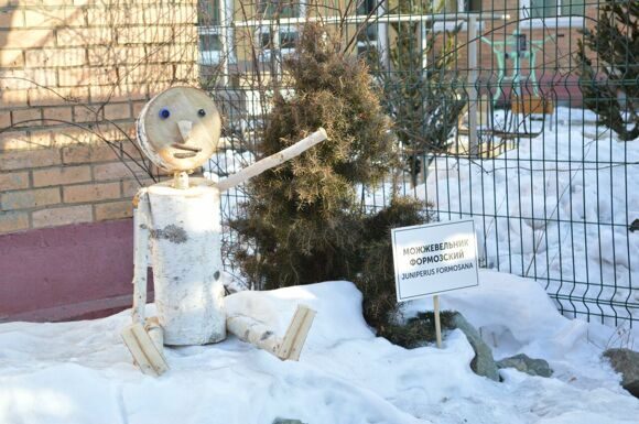 Image_002