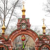 Image_006