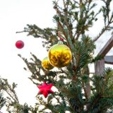Image_085
