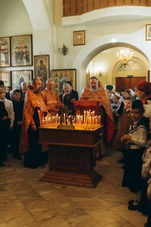 Image_007