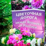 Image_0311